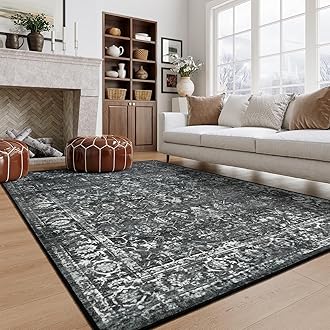 Lahome Area Rugs for Living Room Non-Slip Stain Resistant for Dining Room Office Entrance Decor 5x7 Inches Black