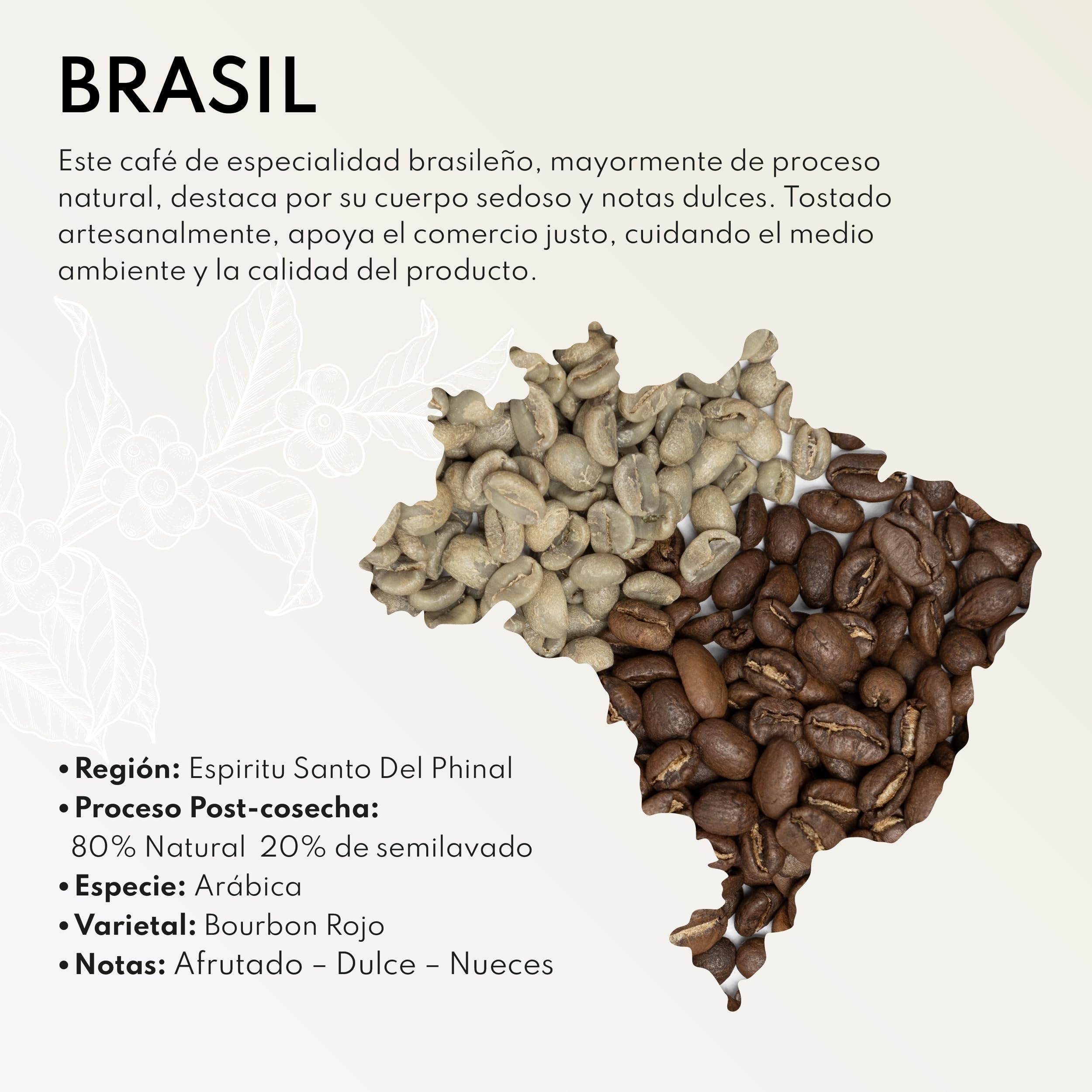 Café en grano arábica Brasil Boconó specialty coffee tueste medio 1 kg natural espresso V60 Chemex
