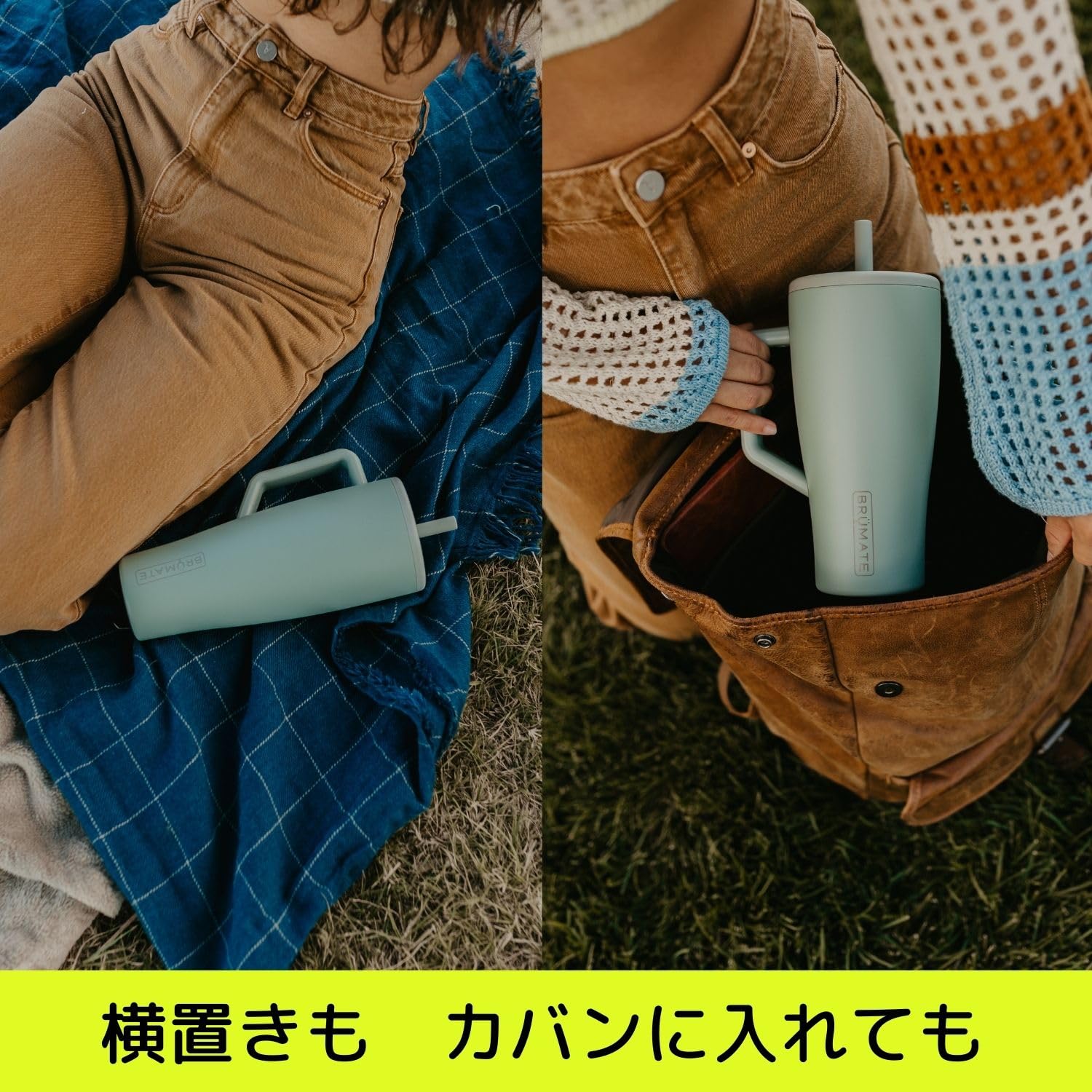 Amazon｜【公式】ブルーメイト エラ プリックリーペア 880ml