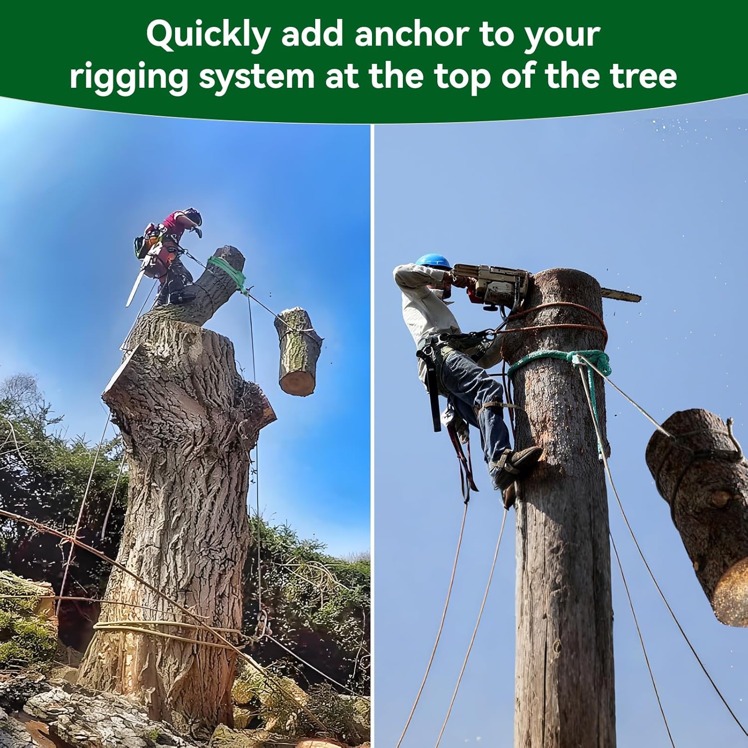 Arborist Rigging System