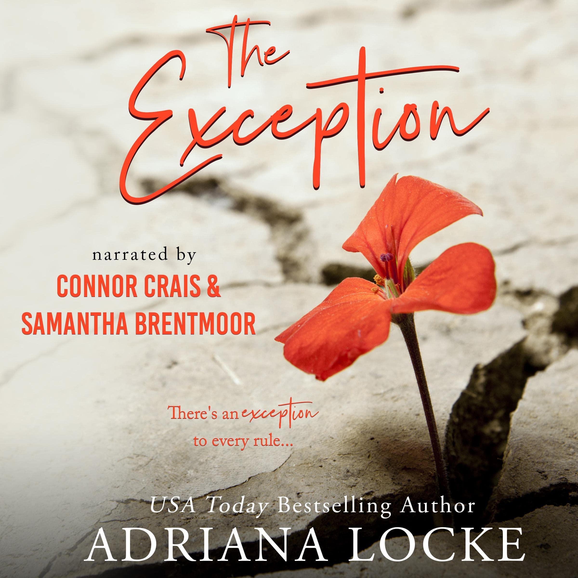 Cover art for The Exception