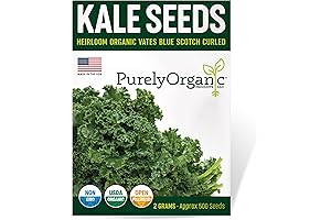 Organic Kale Seeds (Vates Blue Scotch Curled): 500 Seeds of Chopped Kale Fresh