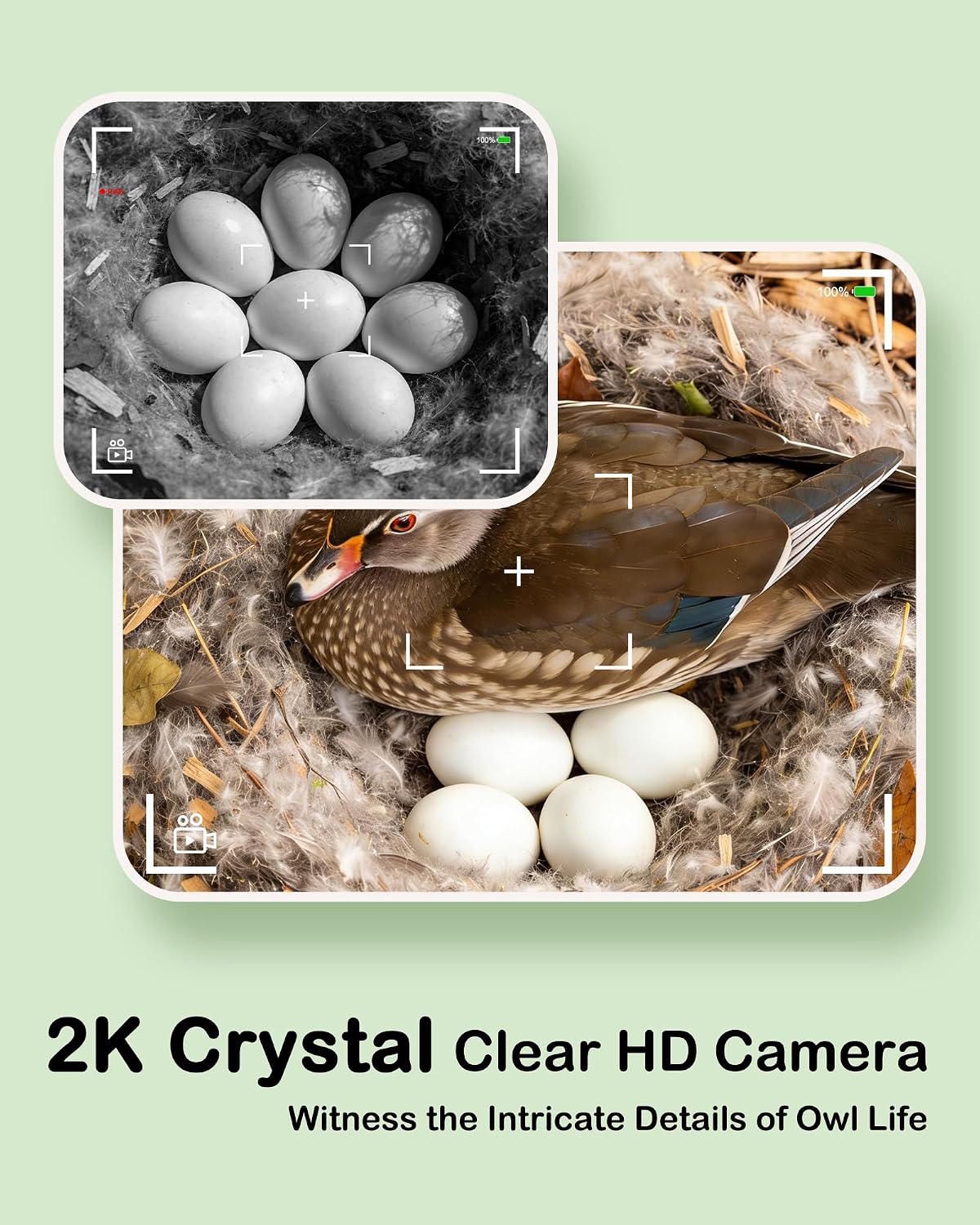 Wood Duck House with Camera Solar Powered,4G Cellular, Anti-Corrosion Varnish Cedarwood,Wood Duck Box,Ready to Install,2K HD, Instant Alerts Ducks Nesting Box for Pond, Wetland（NOT WiFi）