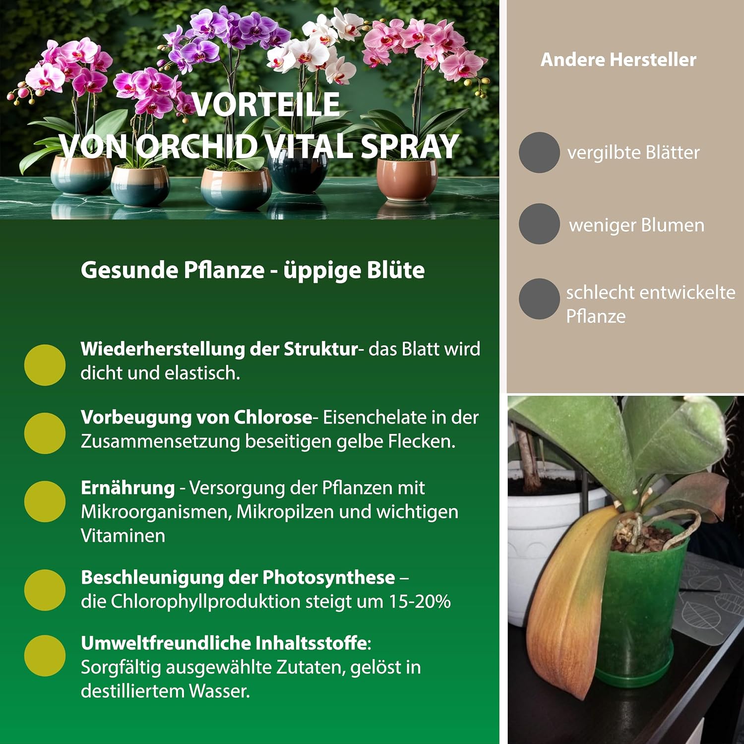 Garten Lux Spray Engrais Orchidée d'Intérieur, 300 ml, 16 nutriments | Prêt à l'emploi, brume fine pour feuilles et racines, flacon rechargeable – pour orchidées et plantes d'intérieur. — vue 3