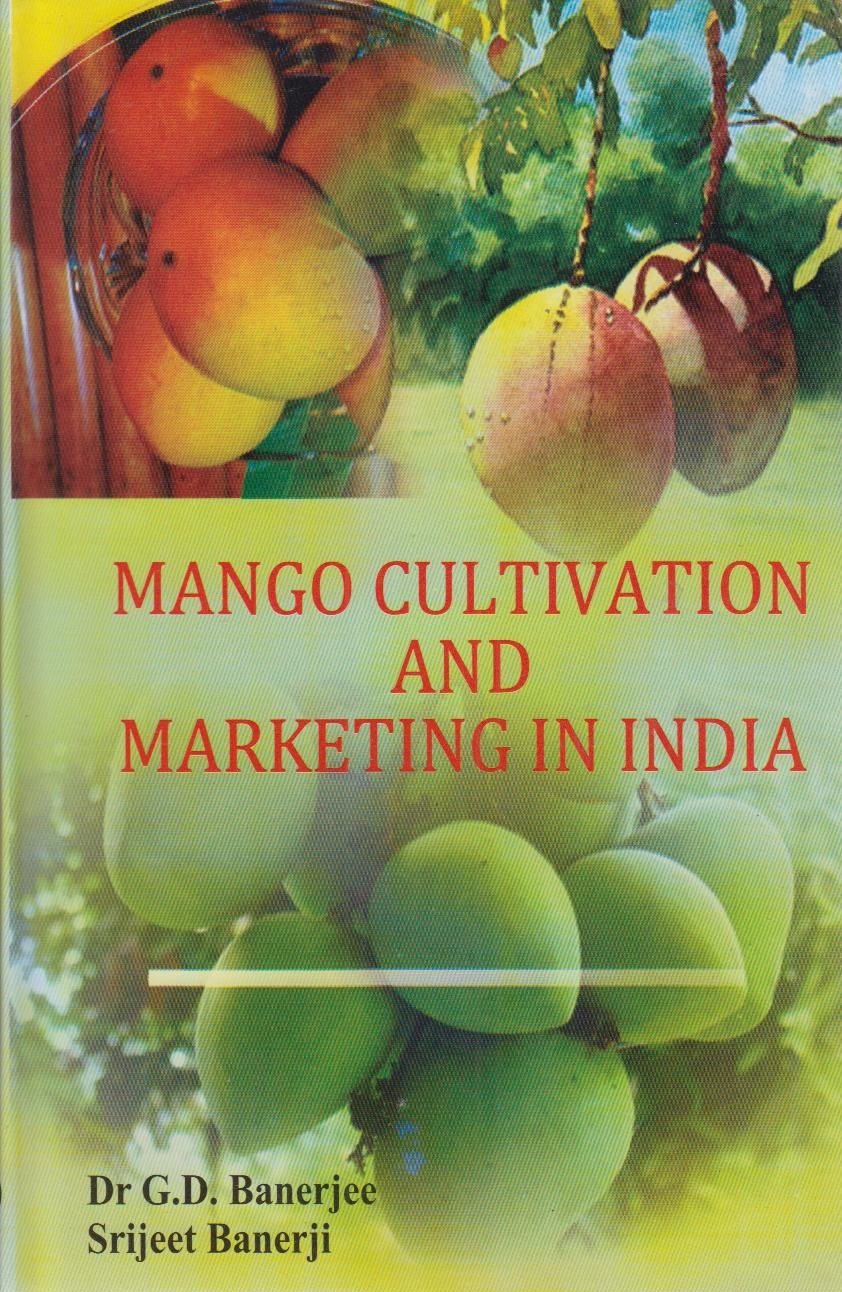 Mango Cultivation and Marketing in India