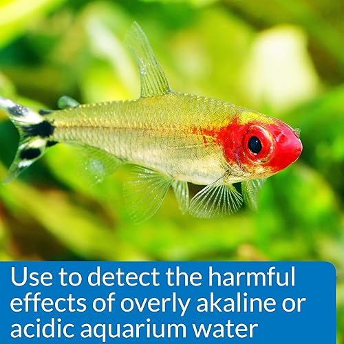 Vista 25 de API Test de gH y KH Kit Acuario de Agua Dulce Kit de prueba de agua