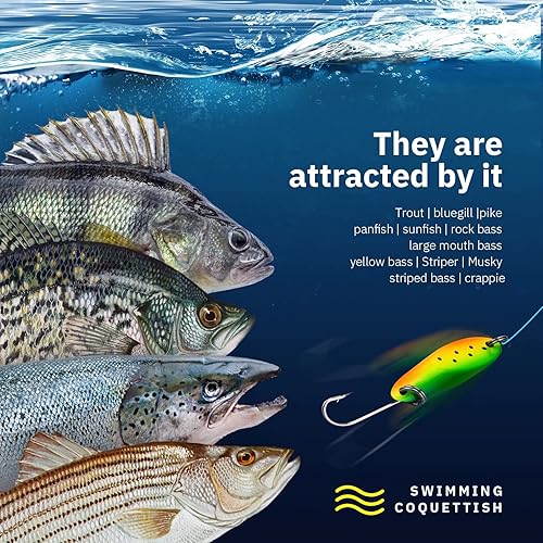 Miniatura 39 de THKFISH Señuelos de pesca, cucharas de pesca, señuelos de trucha para trucha, lucio, lubina, lucioperca, lucioperca, 0.12 oz(1/8 oz), 0.19 oz