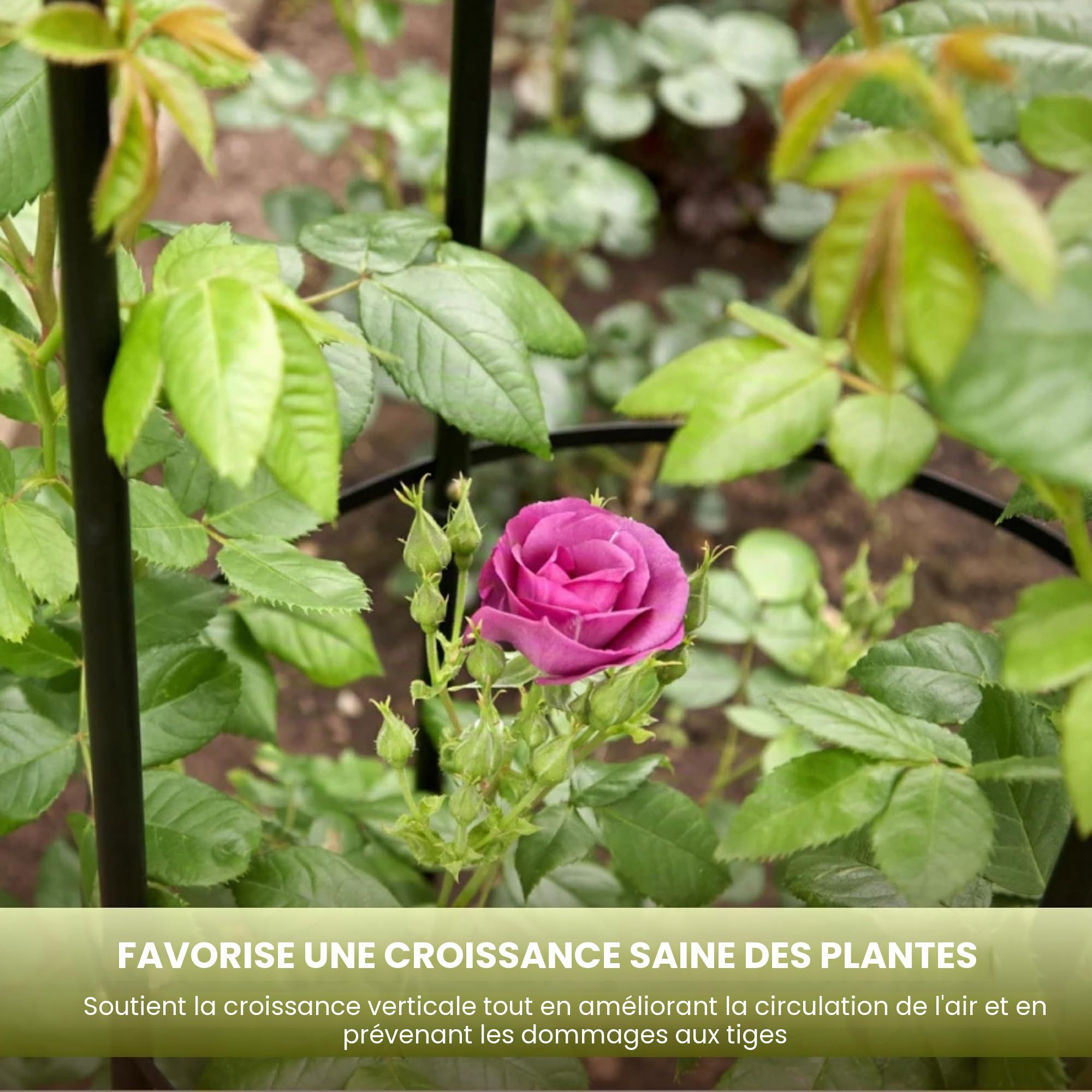 Garden Mile® Grand obélisque décoratif de jardin - Solide structure tubulaire en métal pour rosiers, plantes grimpantes - Hauteur de 2 m, noir