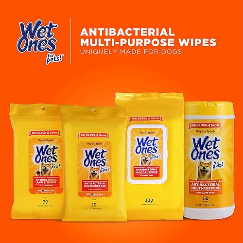 Miniatura 16 de Wet Ones Toallitas multiusos para perros con aloe vera, aroma tropical Splash - Toallitas de baño para mascotas en bote para patas de perro y uso