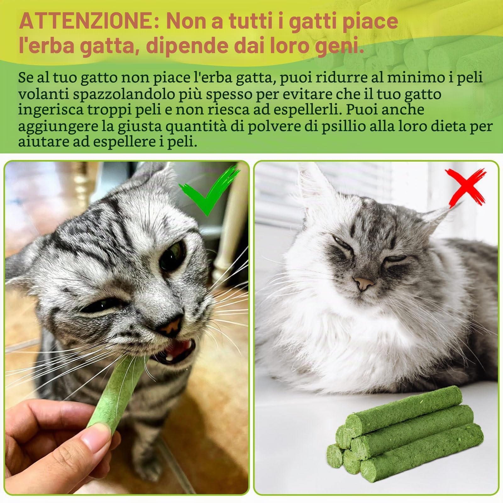30g Bastoncini di Erba Gatta Liofilizzato, Snack per Gatti Erba Gatta per Gatti Pronta per Elimina Boli di Pelo e Pulizia dei Denti