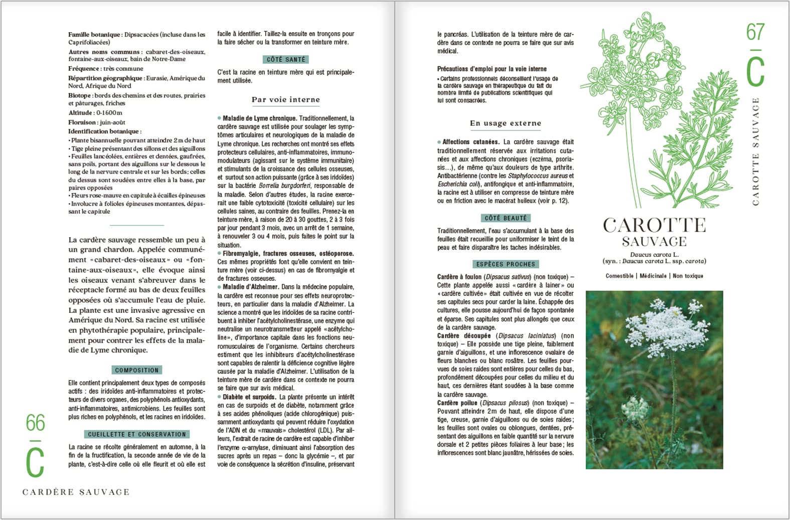 Le guide des plantes sauvages. 100 plantes essentielles aux vertus bienfaisantes - Identification, cueillette, préparation, conservation, propriétés ... plantes essentielles aux vertus bienfaisantes