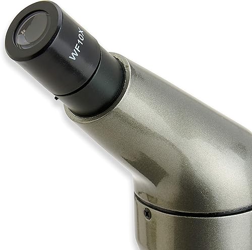 Miniatura 7 de Carson Microscopio biológico para principiantes 40x-400x (MS-040)