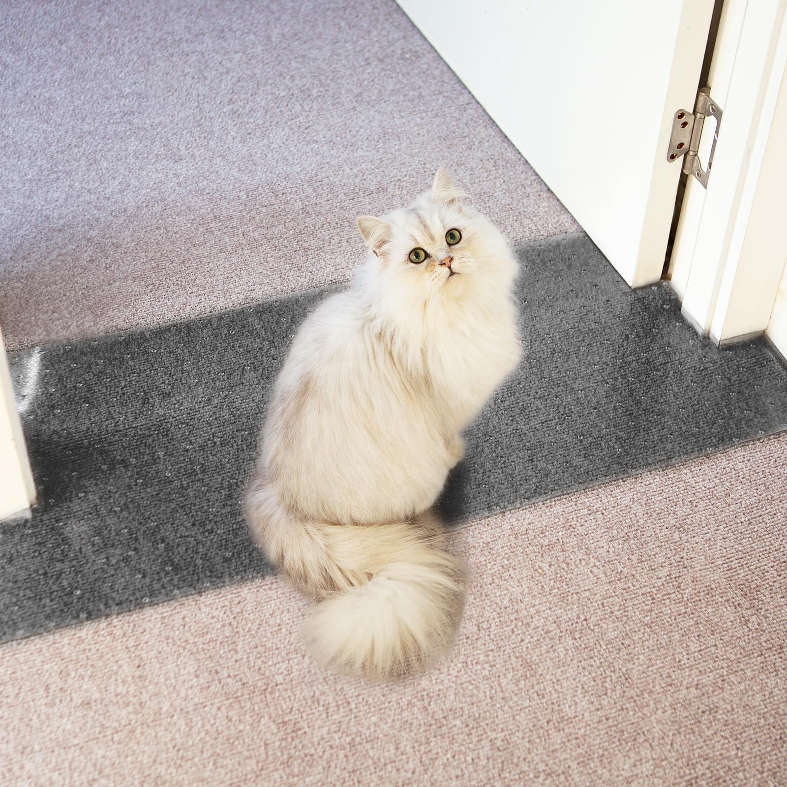 Carpet Protector for Pets Cat Carpet Protector for Doorway, Anti Scratch Under Door Cat Scratch Protector Mat, Easy to Cut Plastic Stopper (Grey,