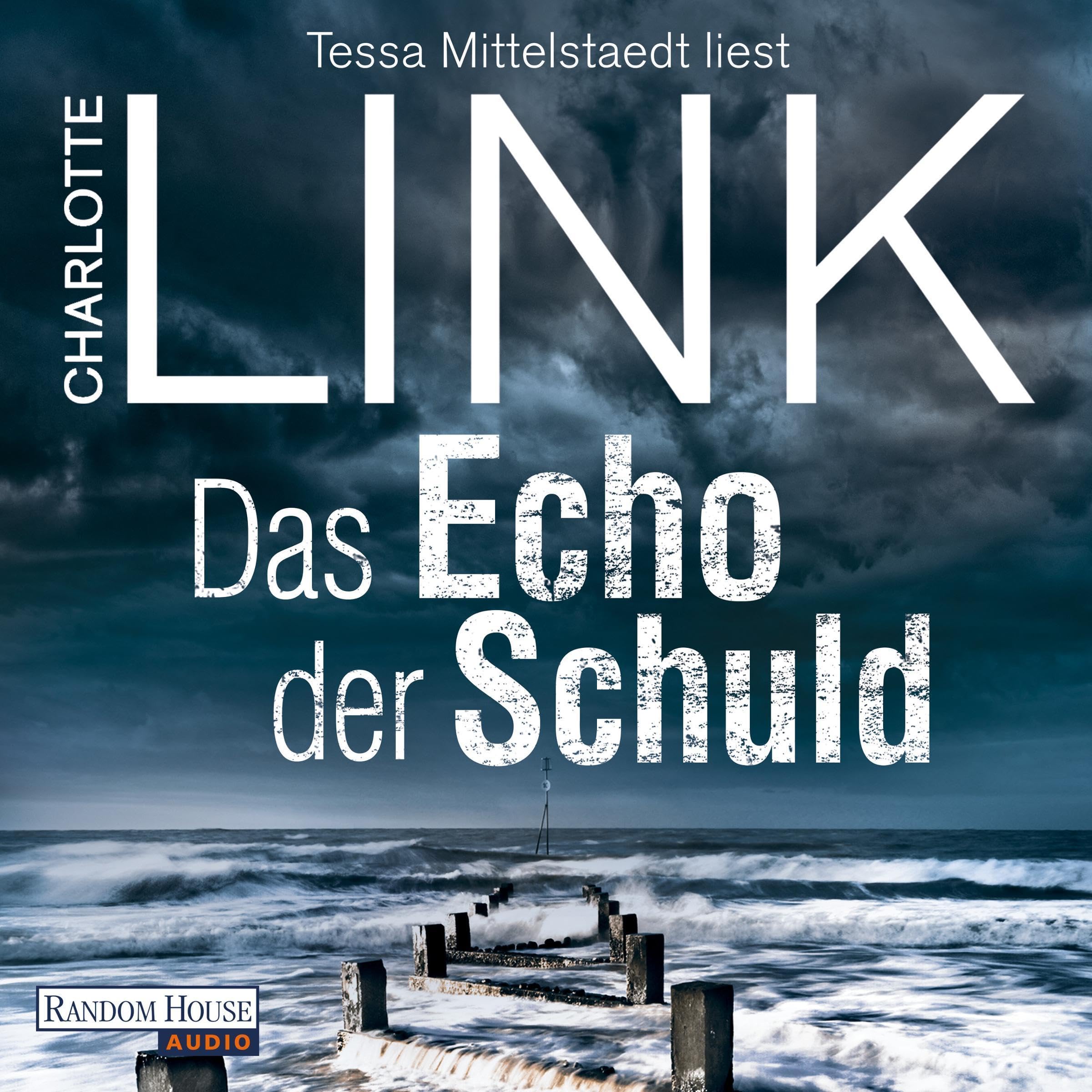 Cover art for Das Echo der Schuld