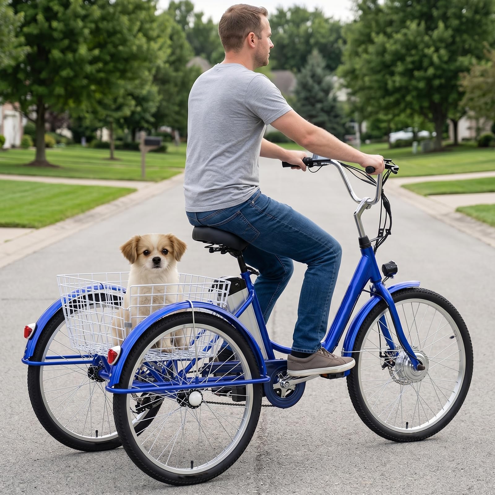 ZHZWwansuGE 24″ Adult Electric Tricycle, Electric Pedal-Assist Tricycle, 150kg Load Capacity,With Removable 36v 12ah Battery - 35 Km Range, 3 Riding Modes, Dual Braking System, Elderly Scooter Blue