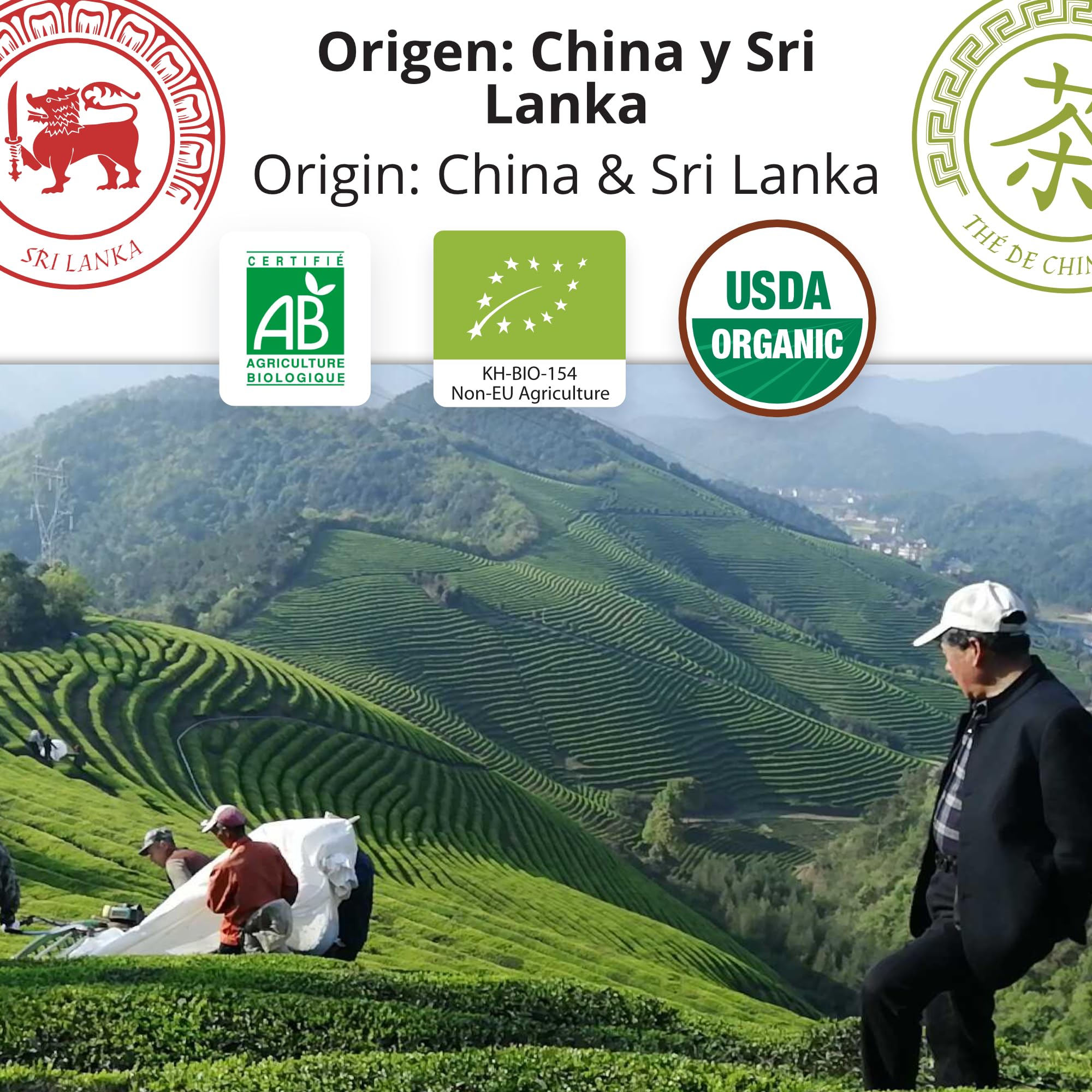 Set de 3 Tés Desayuno - Earl Grey, Chun Mee & Breakfast OP - 3 x 20 Bolsitas de Té Orgánicos - Caja de Regalo