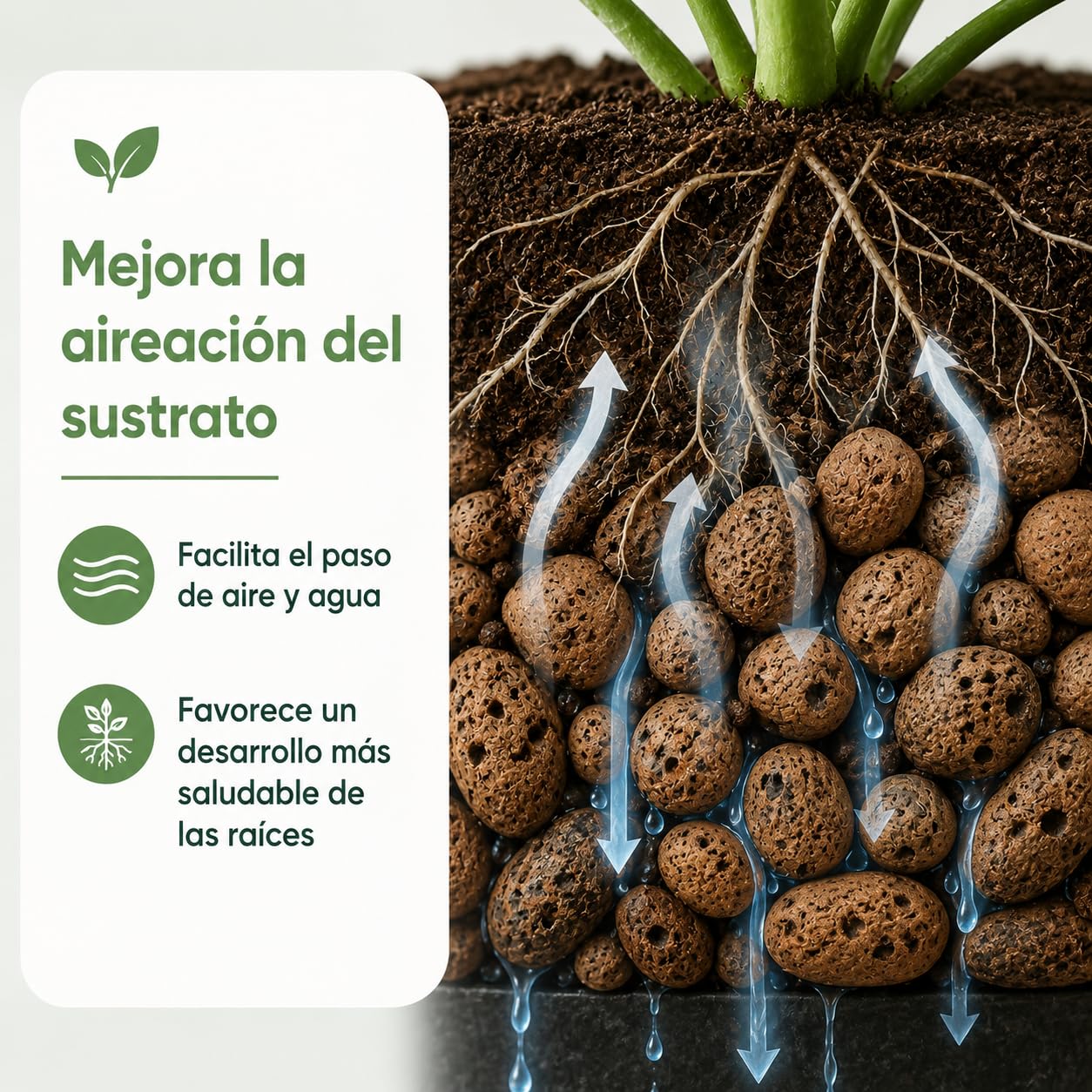 Flornatur Arlita Expandida para Plantas | Bolitas para Macetas y Jardines| Arlita para Drenaje | Forma de Bolas | Tierra Húmeda para Suelo (2 Sacos 50 litros)