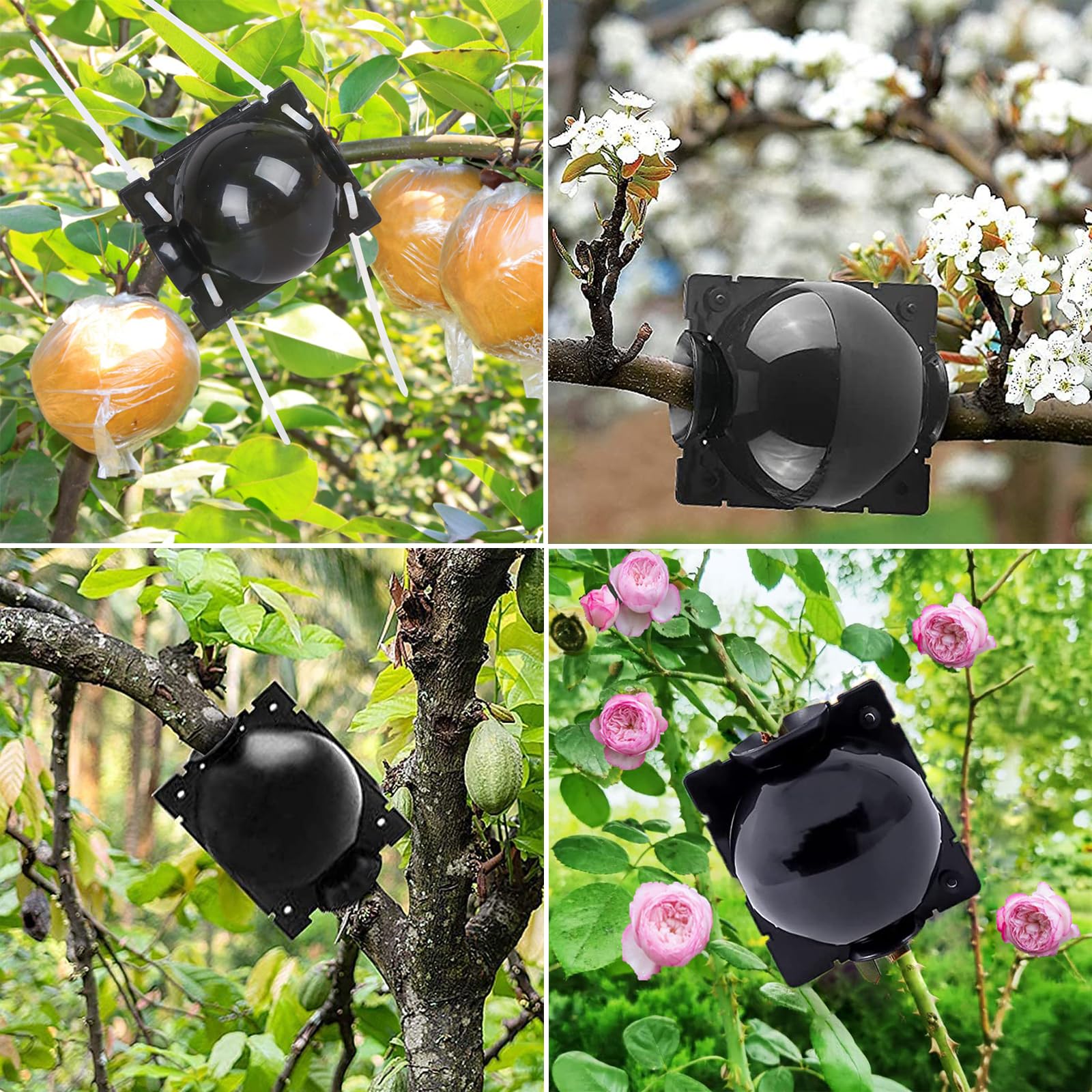 30 Piezas Dispositivo de Injerto de Plantas Caja Cultivo Raíces Plantas con Bridas de Cable Dispositivo de Enraizamiento de Plantas Reutilizable Bola Propagación Alta Presión (Negro)