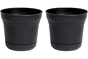 Bloem Saturn Planter with Saucer: A Symphony of Form and Function