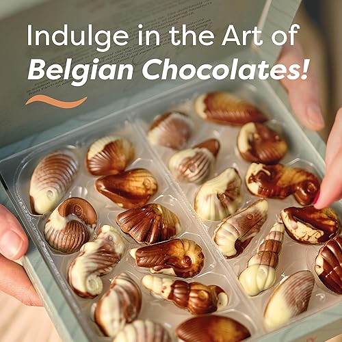 Miniatura 2 de Guylian Conchas marinas de chocolate belga 882oz - Paquete de 2