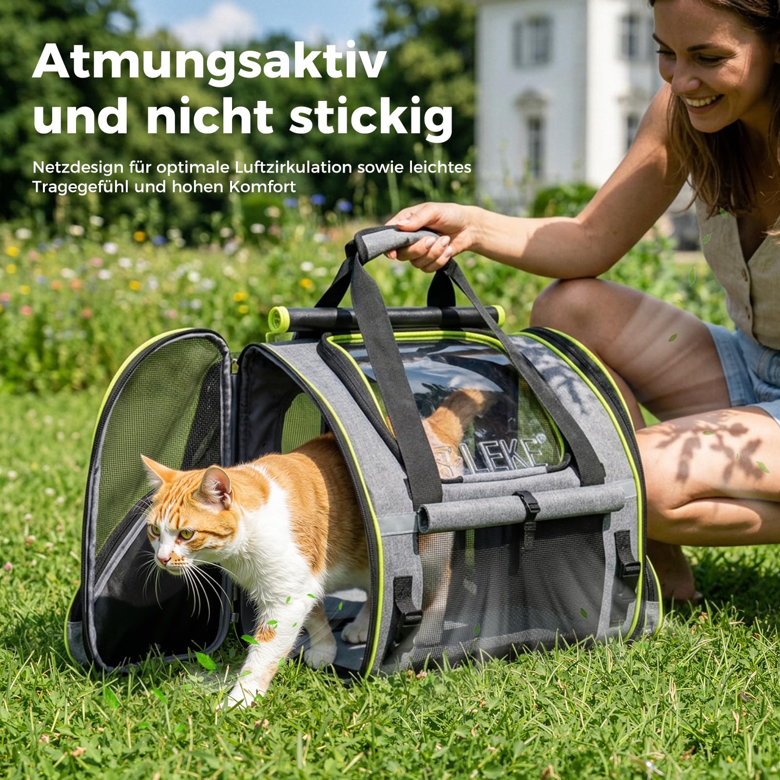 Lekesky Katzenrucksack Bubble Haustier Rucksack mit Netzfenster, Hunderucksack Erweiterbar Tragbare und Faltbare Katzentasche, Atmungsaktive und Leichte Hundetasche für Hunde Katzen Haustiere, M, Grau