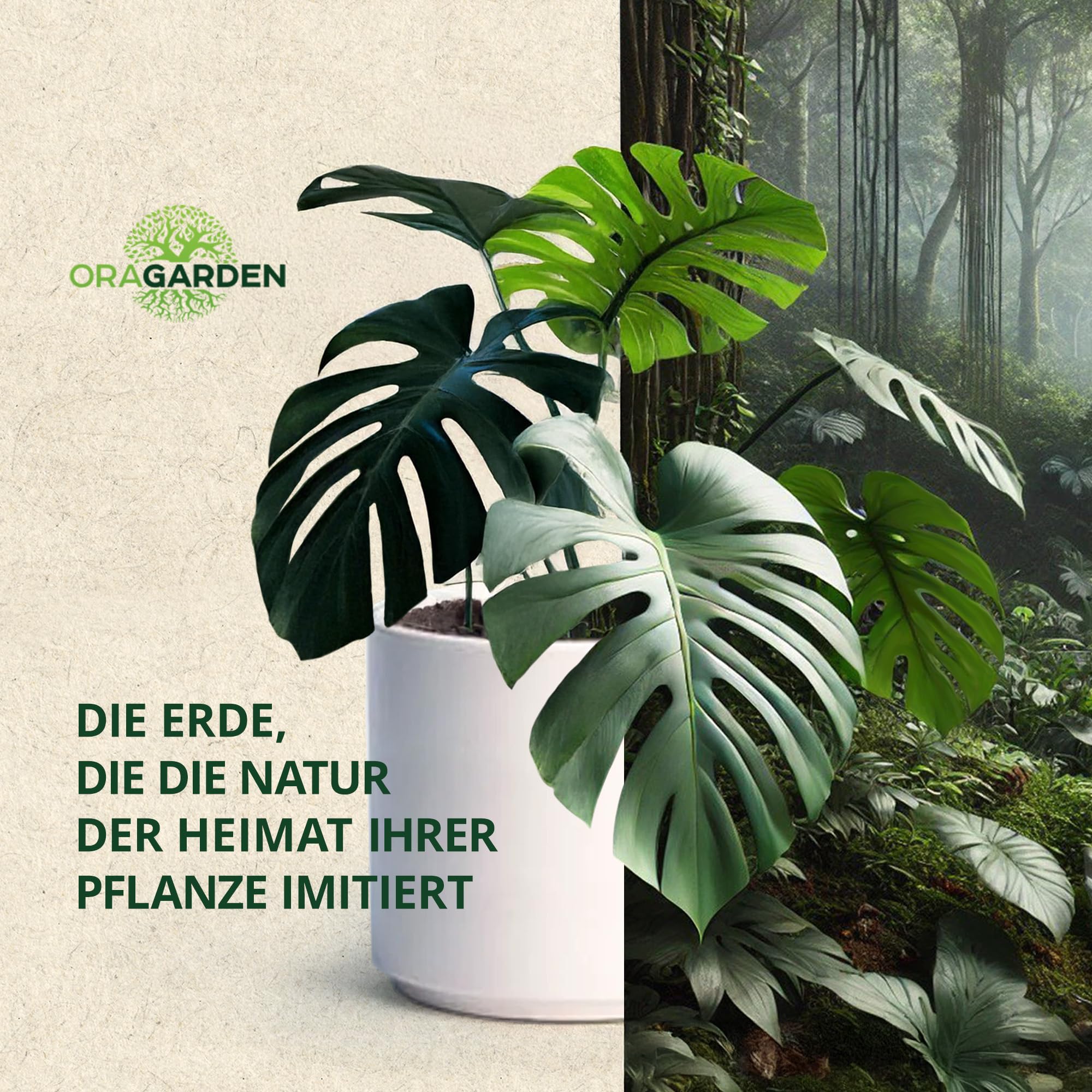 Terreau Monstera 9L – Sustrato Light Mix – Planta verde interior – 5 componentes – Tierra para cultivar