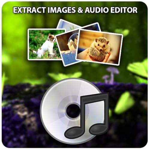 Die Besten video converter kostenlos im Test und Vergleich 2023 [Bester