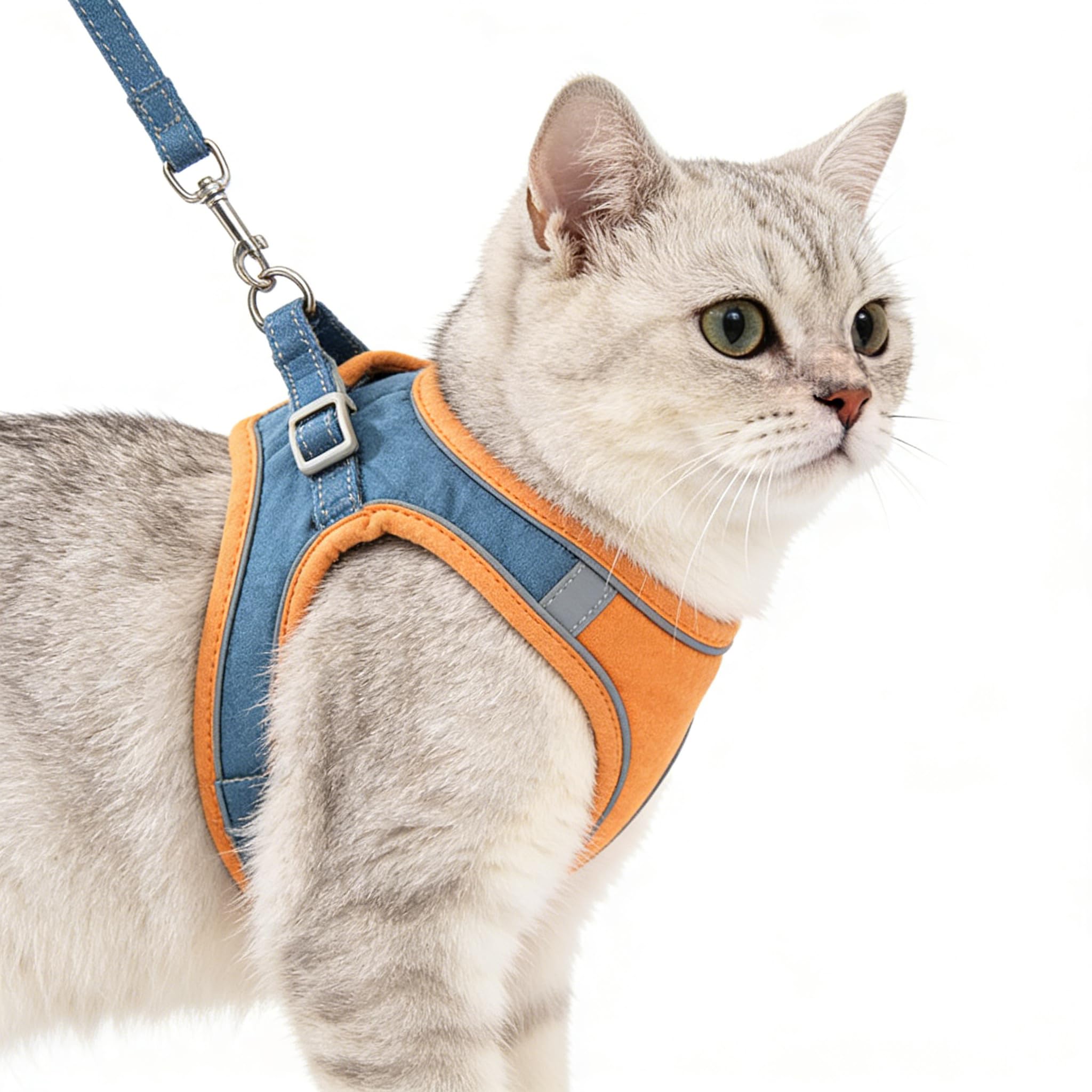 Ensemble harnais et laisse pour chat – Harnais anti-fugue confortable, respirant et réglable pour petit chat et chiot (orange_L)