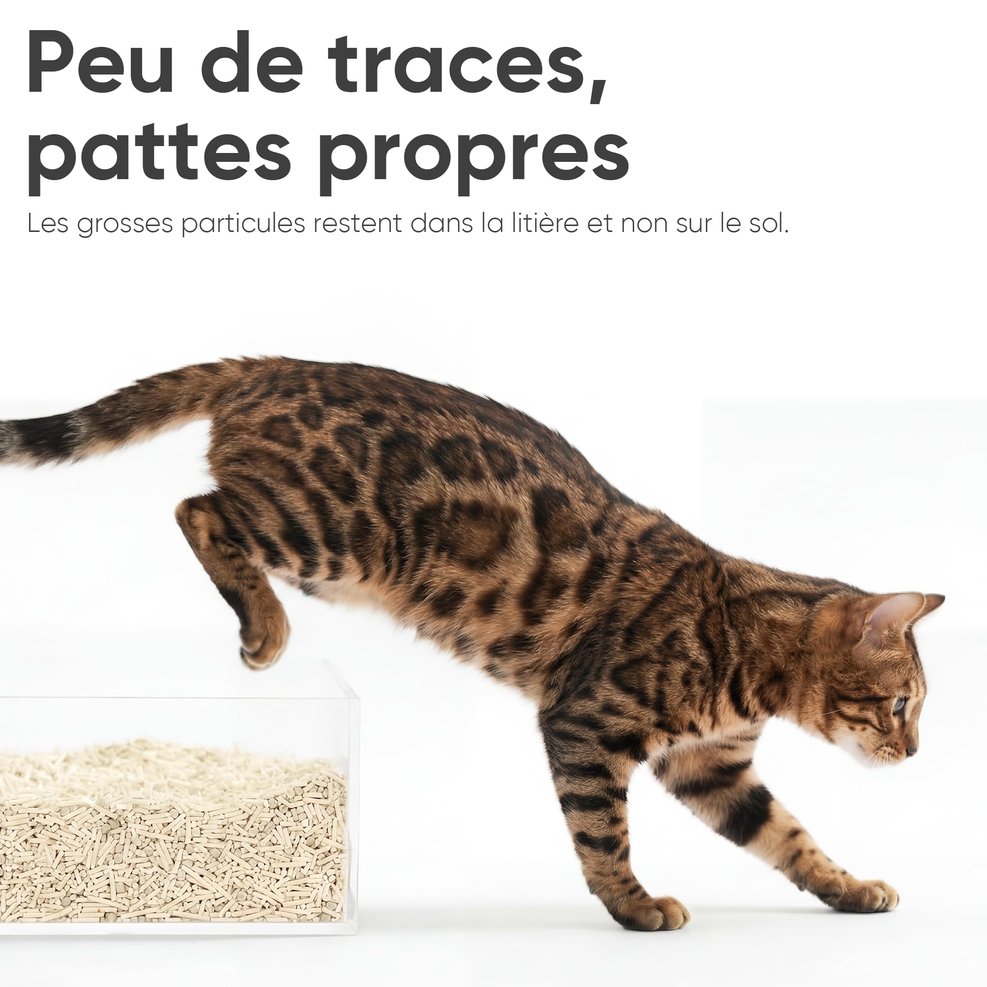 FUKUMARU Litière pour Chat en Tofu Naturelle Non Parfumée, 24L, sans Poussière, Agglomérante Rapide, Contrôle des Odeurs
