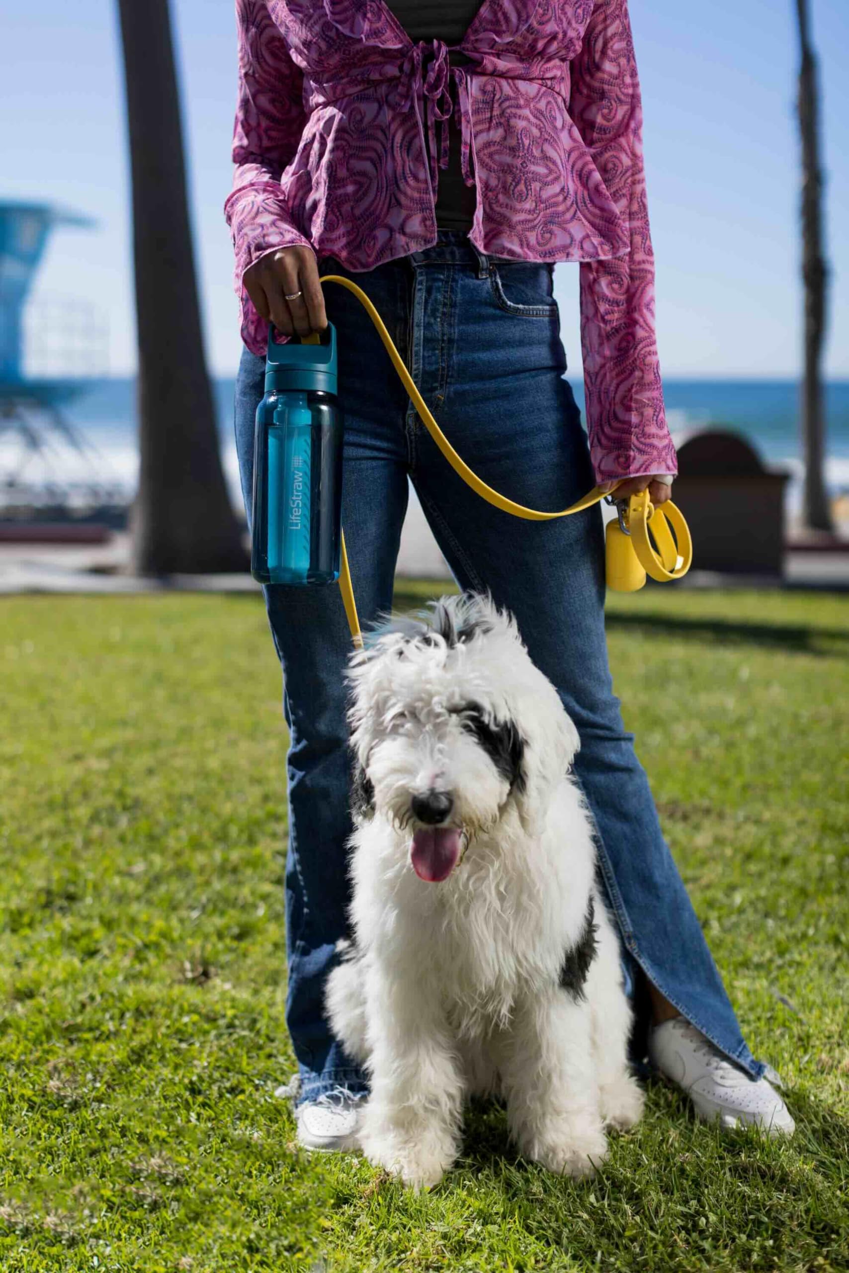 LifeStraw Go Series – Gourde filtrante sans BPA 1l pour les voyages et l’usage quotidien. Élimine les bactéries, les parasites et les microplastiques. Améliore le Goût, Nordic Noir (noir)