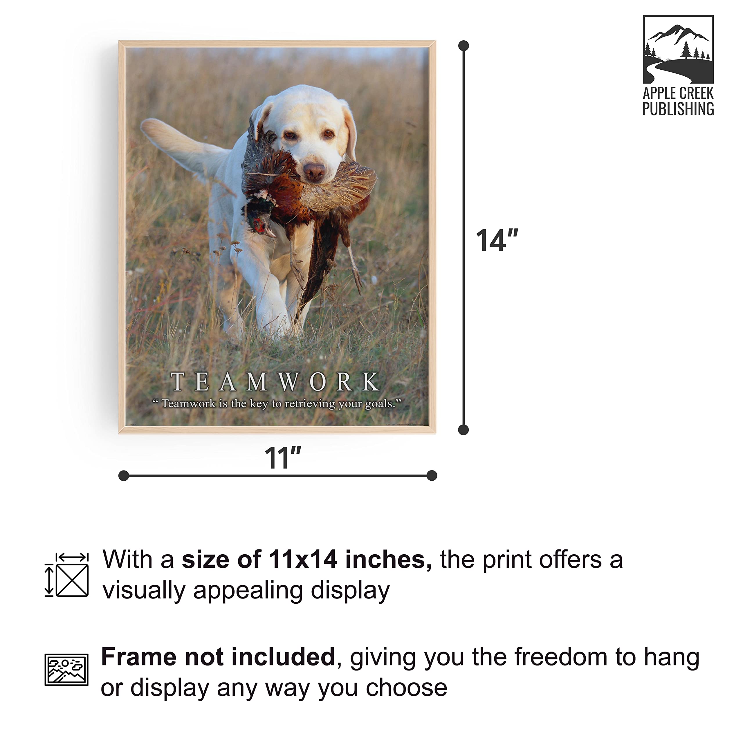 Amazon.com: Apple Creek Pheasant Hunting Dog Motivational Poster