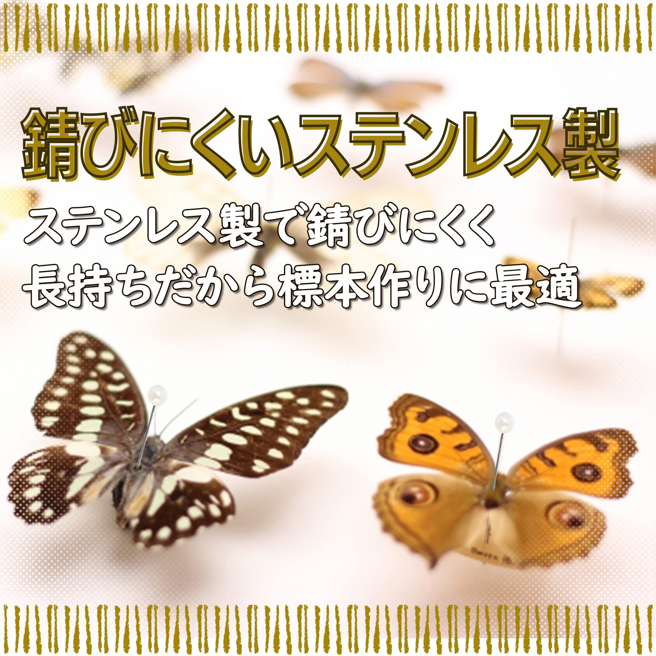 Amazon.co.jp: Felimoa 展翅テープ用玉針 昆虫 標本用 長さ約