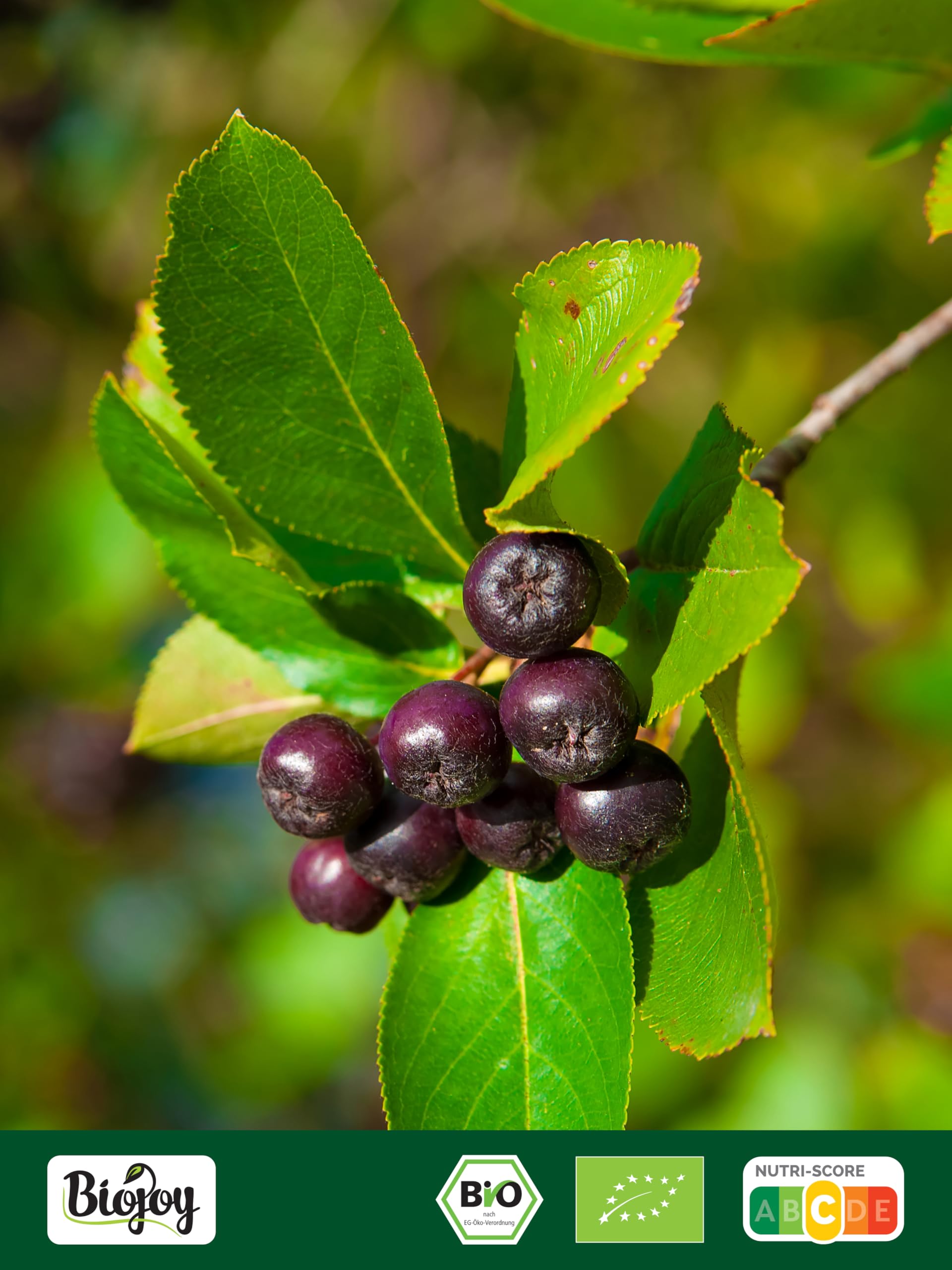 Biojoy Baies d'aronia séchées BIO (1 kg), entières (Aronia melanocarpa)