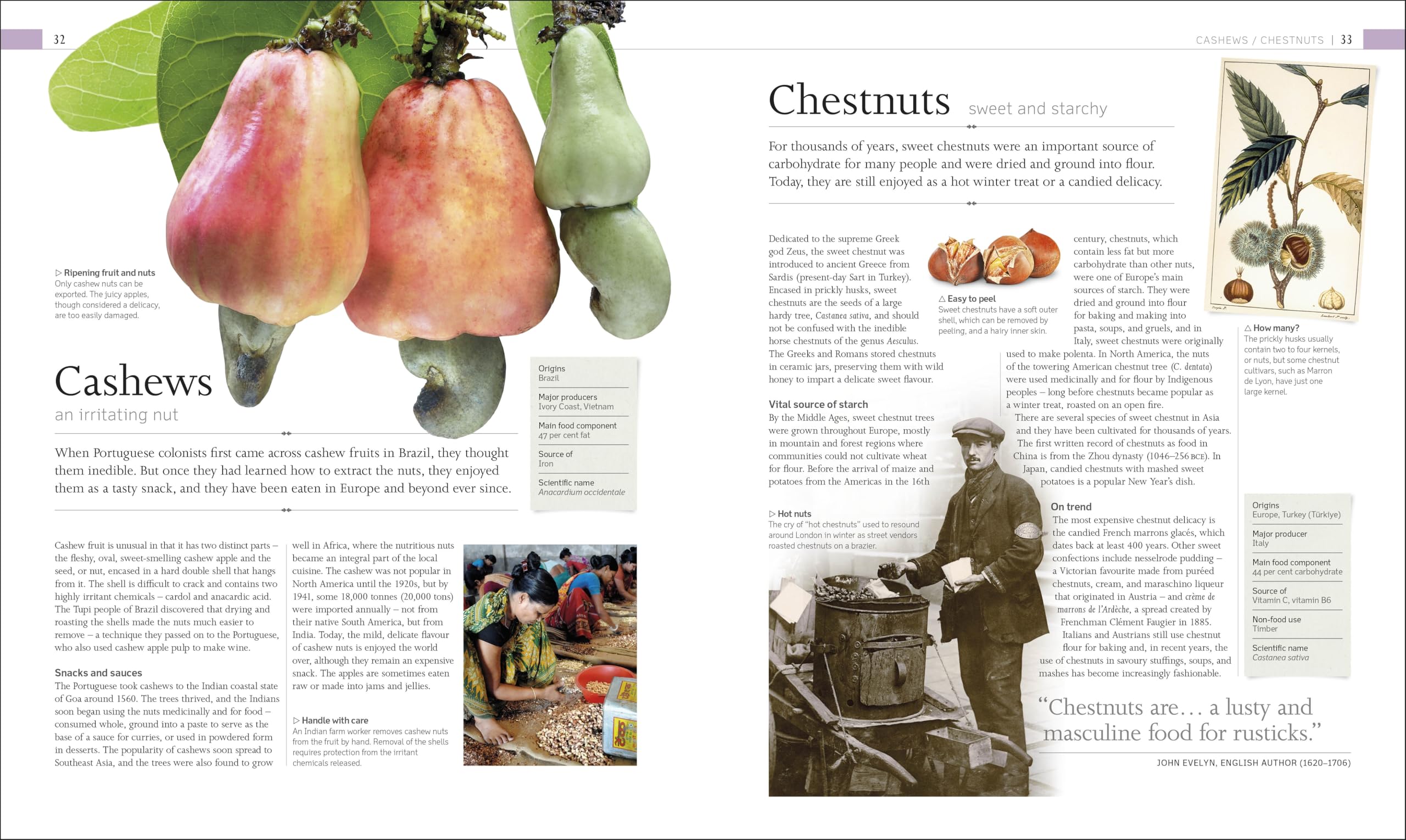 The Food Book: The Stories, Science, and History of What We Eat