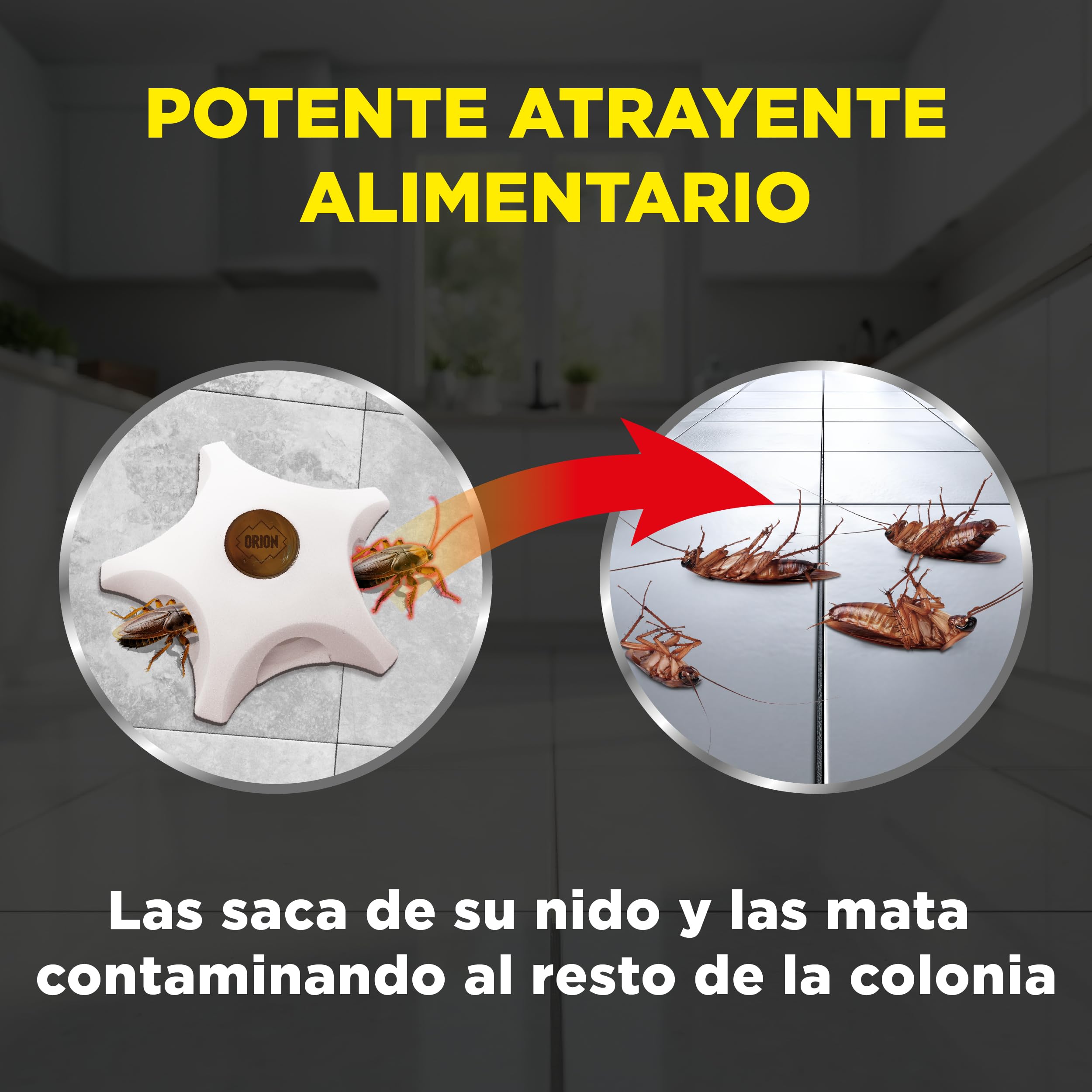 Orion - Cebo Mata Cucarachas, Elimina la Colonia y Nido, Gel de Alta Atracción, Eficacia profesional con Acción Prolongada - 3 uds