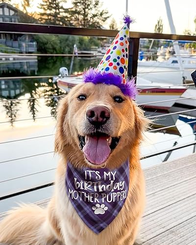 Miniatura 2 de Bandana de cumpleaños para perro, bandana de cumpleaños para cachorros para perros pequeños, medianos y grandes