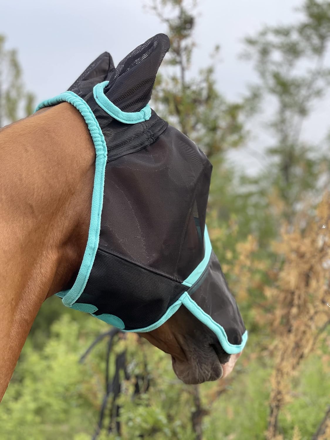 TGW RIDING Horse Mask Full Face Mesh Fly Mask Fine Mesh with Ears and Long Nose (Warmblood, Black/Turquoise) : Pet Supplies