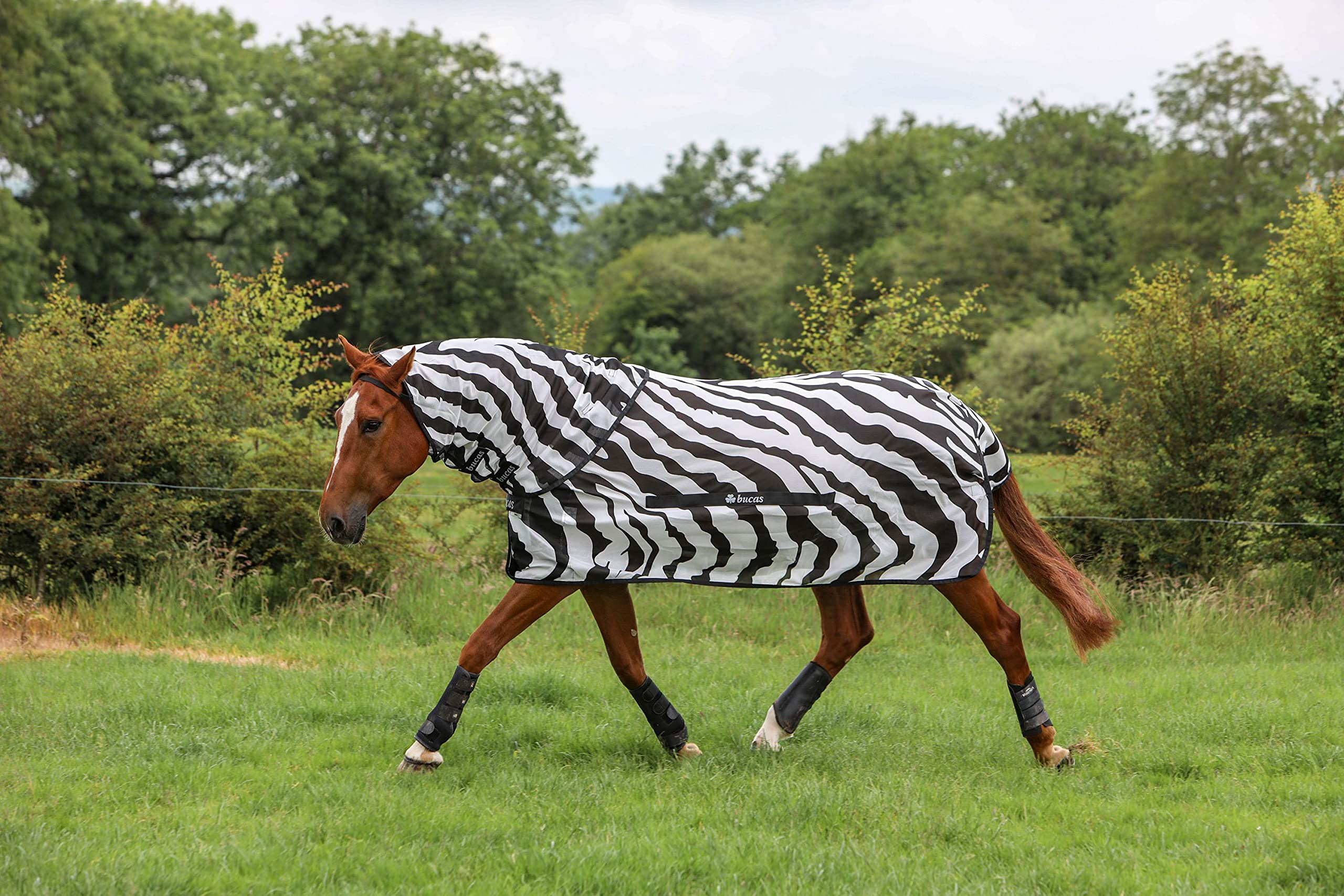 Bucas Buzz-Off Fliegendecke Zebra Full-Neck, 140