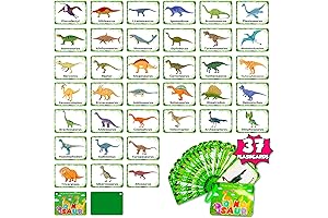 Reusable Dinosaur Cognition Flash Cards for Kids