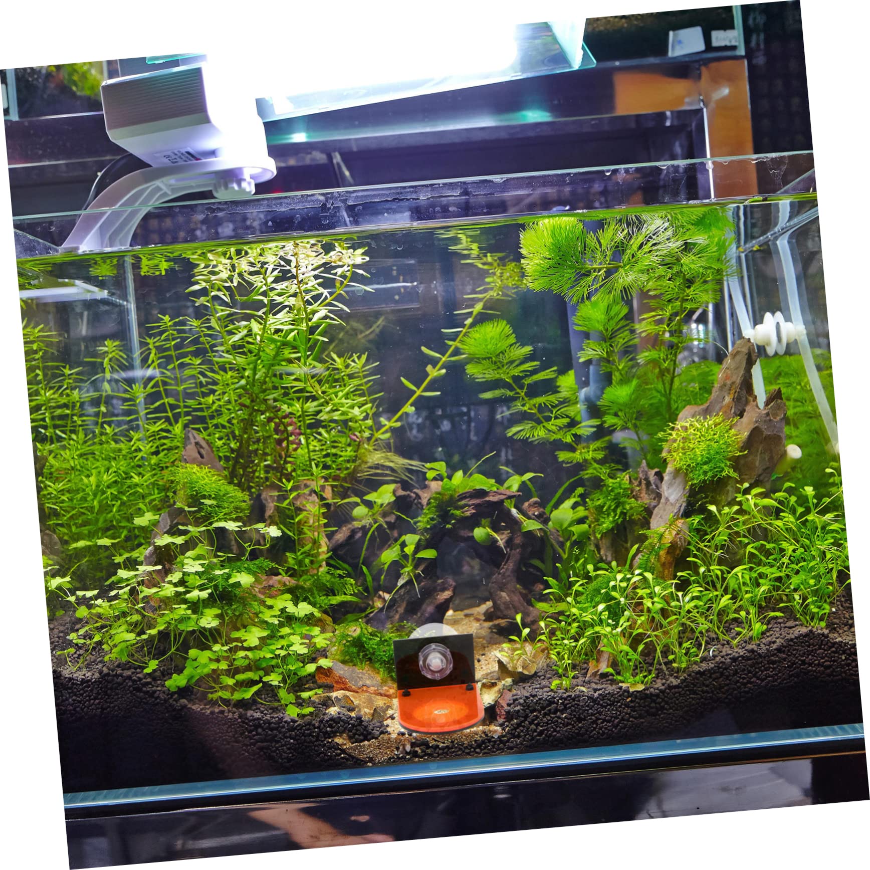 BESPORTBLE 8stücke Aquarium Korallenhalterungen Fluoreszierende Racks Für Zucht Wachstum Von Korallen Geeignet Für Süß Und Salzwasseraquarien Stabil Und Langlebig