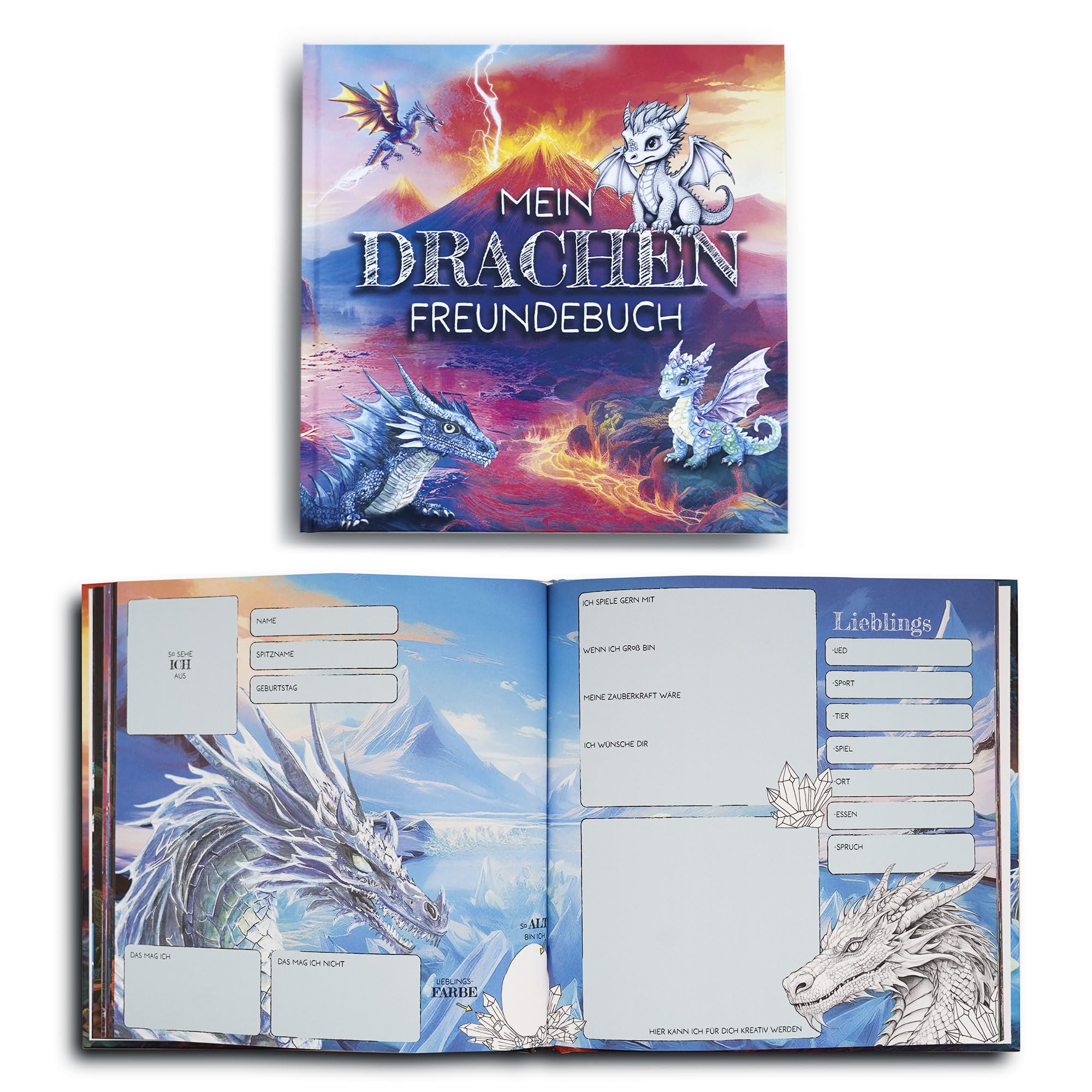 Livre d'amitié Mon dragon ami pour garçons et filles maternelle école primaire Cadeau rentrée des classes