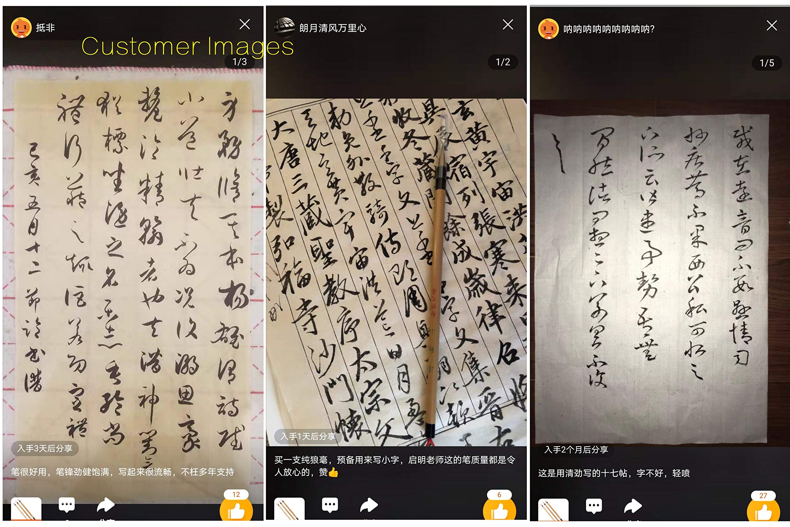Amazon.co.jp: Qi Ming Wen Fang イタチ毛 QingJin 中国書道用ブラシ