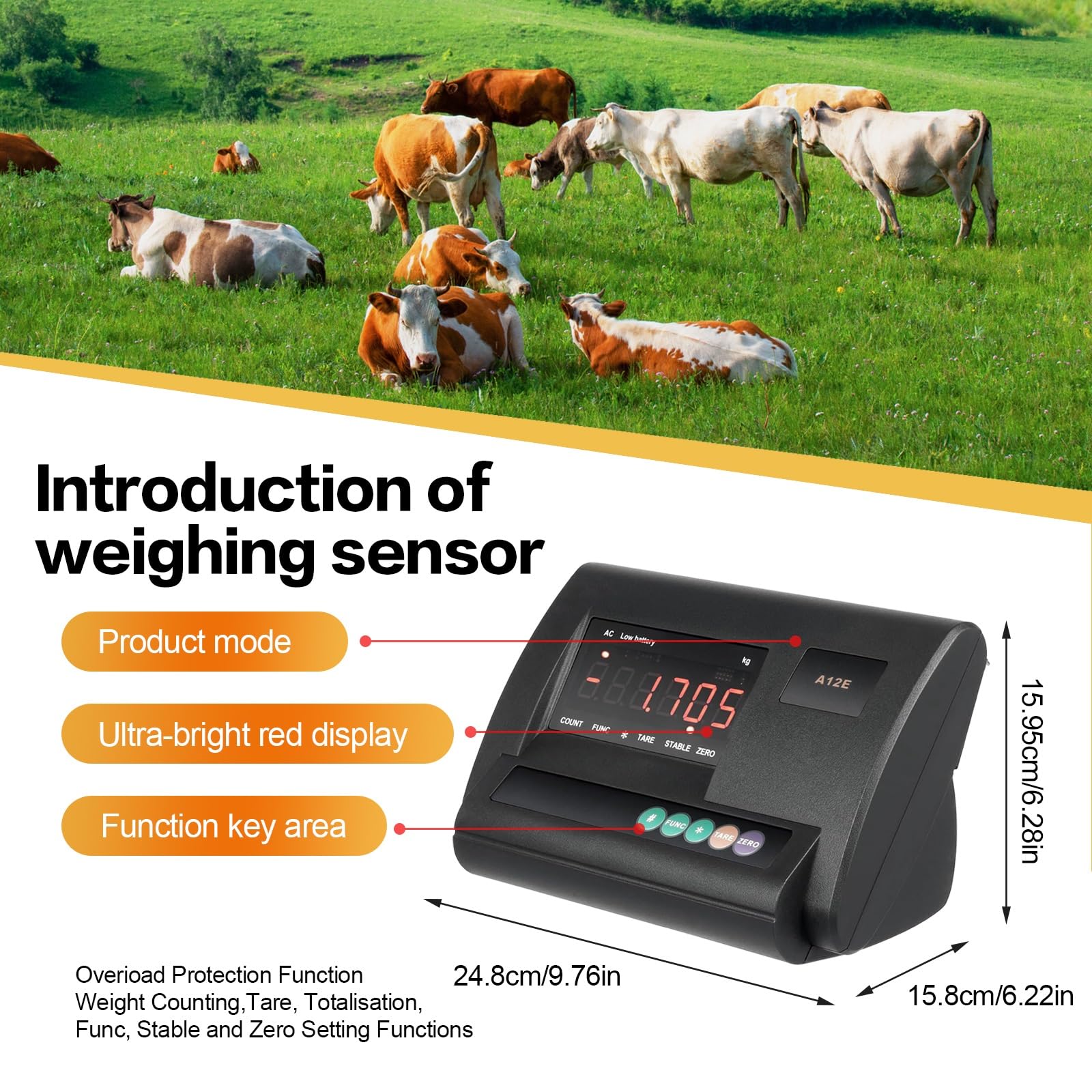 Bilancia Zootecnica Digitale Alta Precisione 11000LBS, 4 Celle di Carico, LED Display, Scatola Impermeabile Acciaio Inox per Bovini Suini Ovini