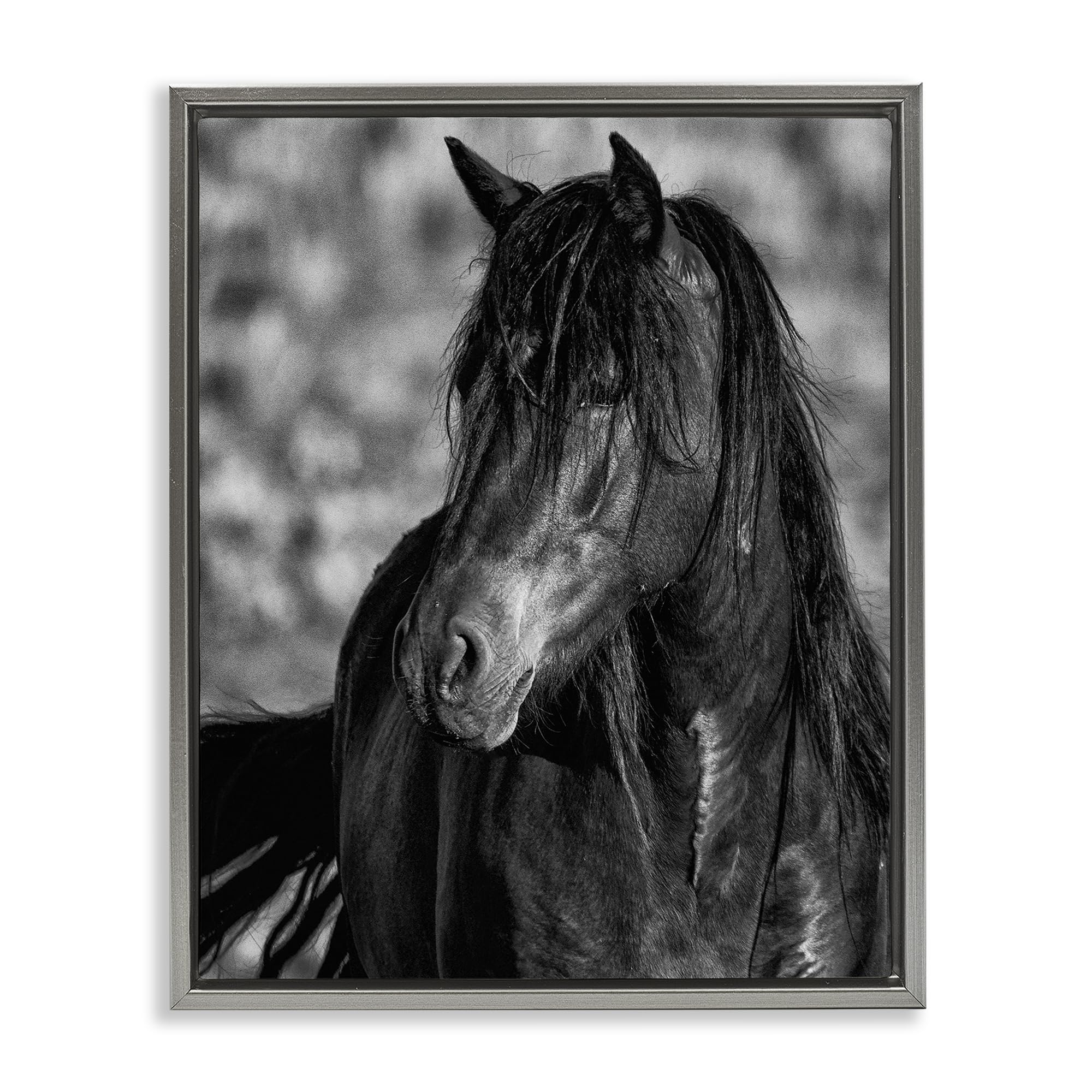 Stupell Industries Luster Gray (Matte) 'Beauty In Black'| Floating Frame Canvas Art