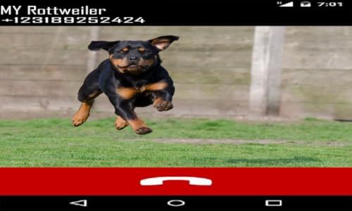 Rottweiler Fake Call Prank ( Funny Pet Calling Prank ) - Gag fake Prank Call from Rottweilers Dogs -