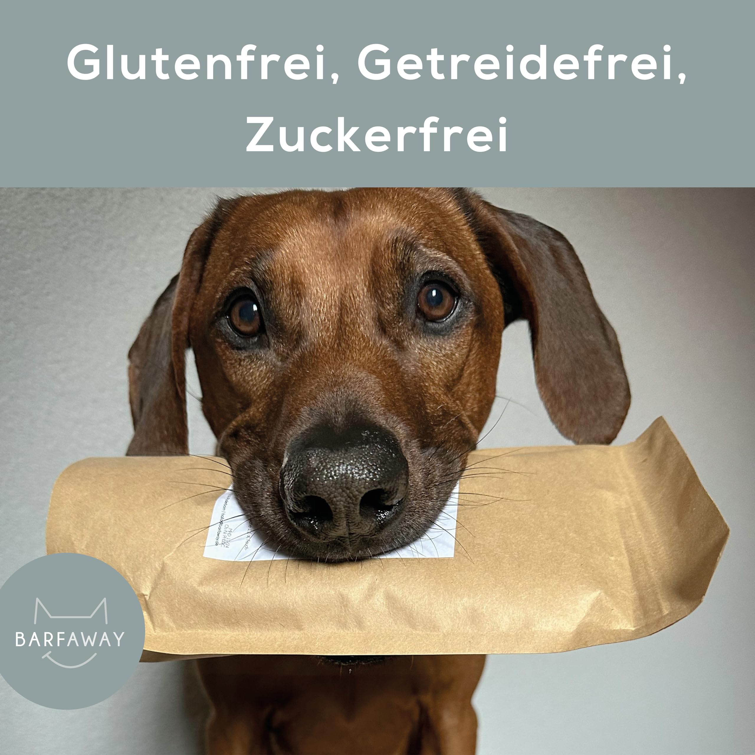 gefriergetrocknetes Hühnerbrustfilet, Premium Muskelfleisch, gesunde Hundeleckerlies, getreidefrei, zuckerfrei, 100% natürlich ohne Zusätze, Deutsche Herstellung, 500 g
