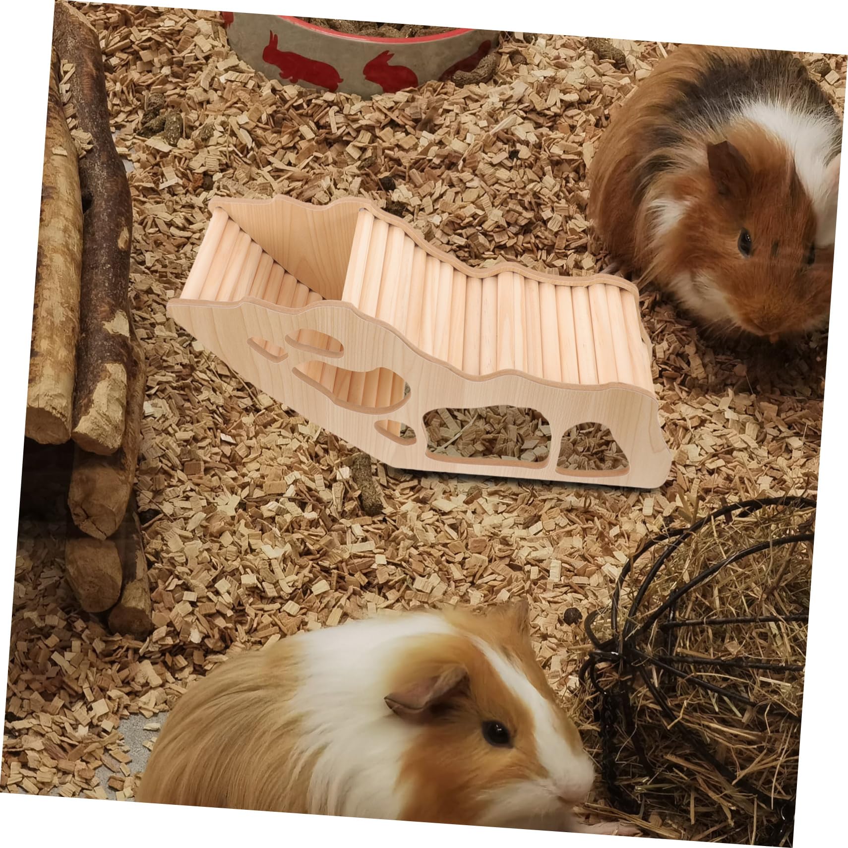 Yardwe 3 Casette in Legno Per Criceti Porcellini Dindia Nascondigli in Legno Per Piccoli Animali
