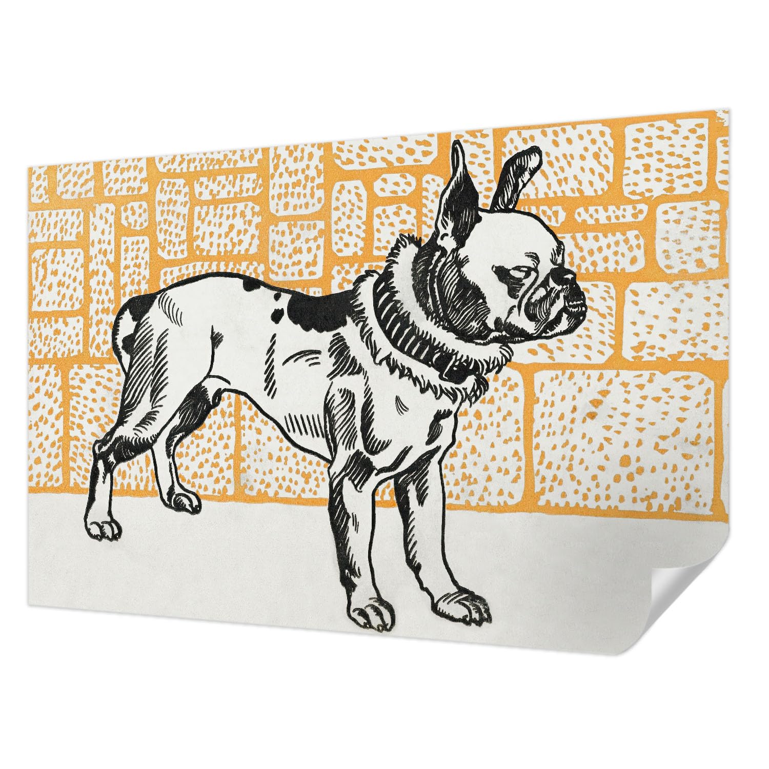 Papier peint auto-adhésif moderne Tulup 104x70 cm décoration murale chien
