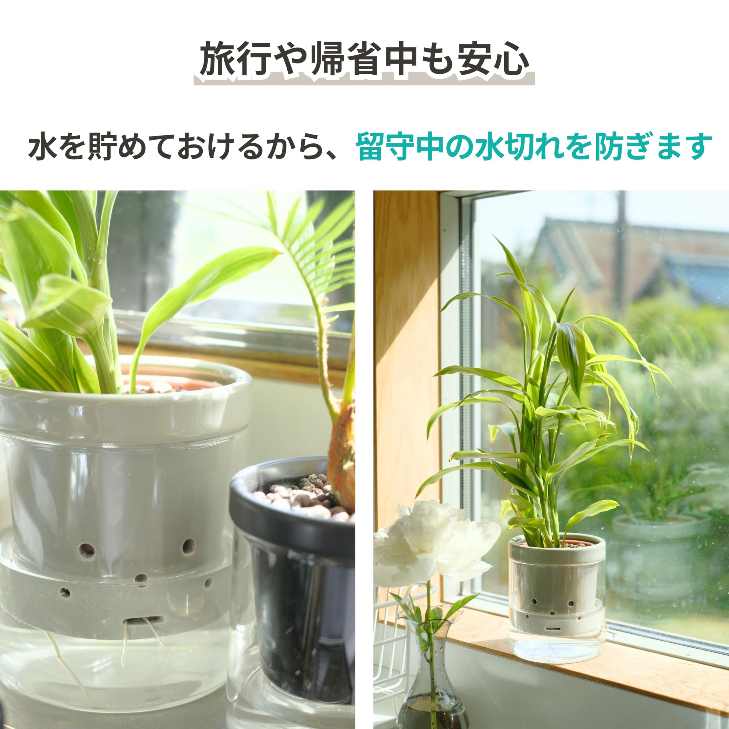 Amazon.co.jp: 根っこさん+つつ型 (ホワイト, Mサイズ) : DIY・工具