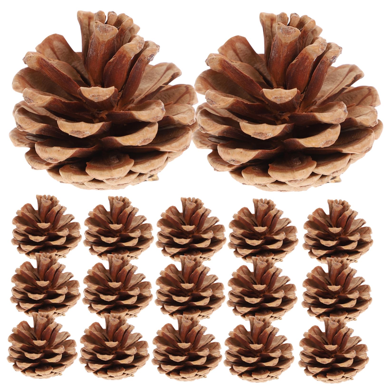 48pezzi Ornamenti Natalizi Pigne Naturali Per Uso Artigianale e Decorazioni Festive Marrone